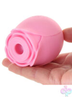Clitoral Toys for Female