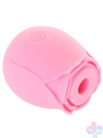 Clitoral Toys for Female