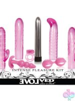 Eight-piece couples pleasure kit with vibrating ring, chrome vibe, swappable sleeves, Ben Wa ball, and anal plug in pink by Evolved Novelties
