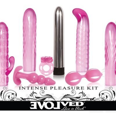 Eight-piece couples pleasure kit with vibrating ring, chrome vibe, swappable sleeves, Ben Wa ball, and anal plug in pink by Evolved Novelties