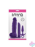 Three-piece purple silicone and ABS pleasure kit with suction-cup dildo, vibrator, and plug by Ns Novelties