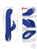 Rabbit Style for Female