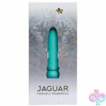 Jaguar Fiercely Powerful - Image 2