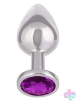 Jewel Large Amethyst Plug – Silver Metal with Gem Accent - Image 2