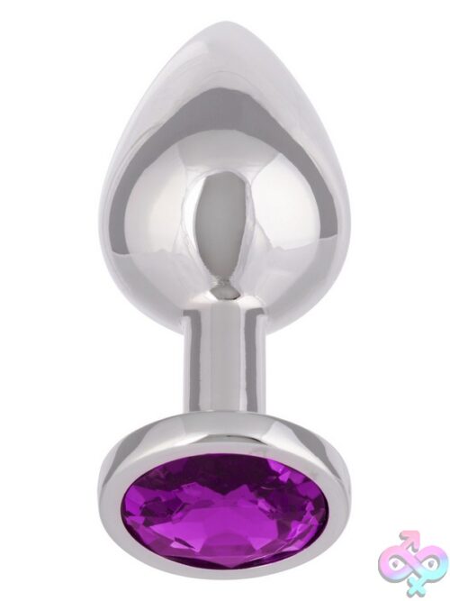 Jewel Large Amethyst Plug – Silver Metal With Gem Accent - Image 2