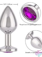Jewel Large Amethyst Plug – Silver Metal with Gem Accent - Image 3