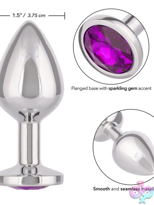 Jewel Large Amethyst Plug – Silver Metal With Gem Accent - Image 3