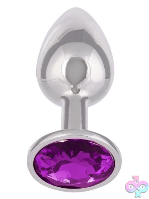 Jewel Small Amethyst Plug – Silver Metal Gem Plug - Image 2