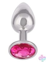 Jewel Small Rose Plug – Silver - Image 2