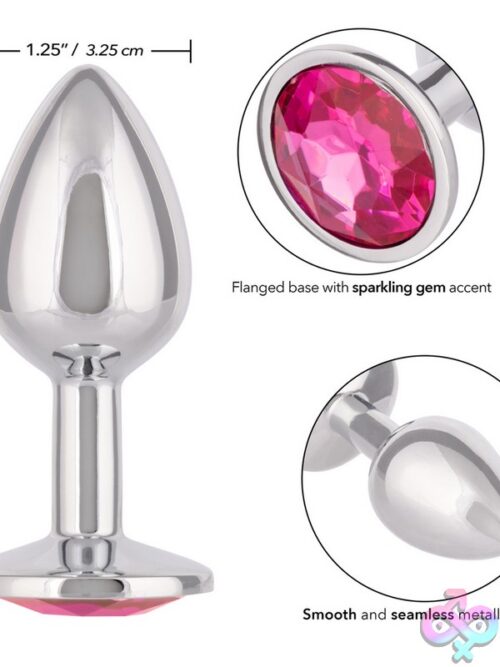 Jewel Small Rose Plug – Silver - Image 3