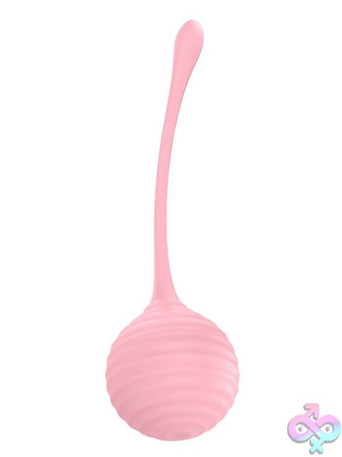 Kegel Balls Training Set – Light Pink - Image 2