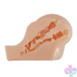 Kylie Realistic Vagina and Ass Vibrator - Image 3