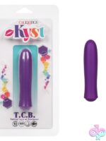 Kyst T.C.B. mini bullet vibrator in blue and purple satin finish on a soft neutral background