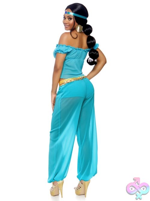 3 Piece Arabian Beauty Costume