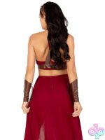 4 Piece Warrior Maiden Costume