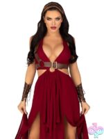 4 Piece Warrior Maiden Costume