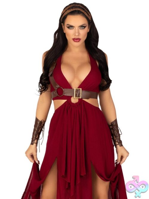4 Piece Warrior Maiden Costume