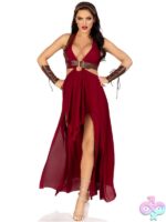 4 Piece Warrior Maiden Costume
