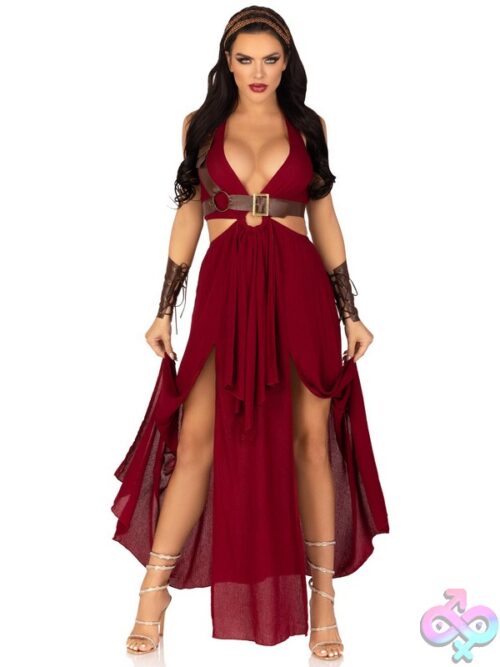 4 Piece Warrior Maiden Costume