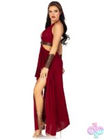 4 Piece Warrior Maiden Costume