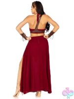 4 Piece Warrior Maiden Costume