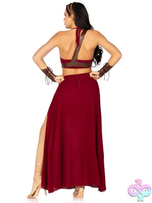 4 Piece Warrior Maiden Costume
