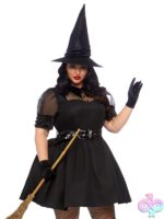 Plus Size 3 Pc Bewitching Witch Costume by Leg Avenue — full look front view