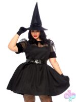 Plus Size 3 Pc Bewitching Witch Costume