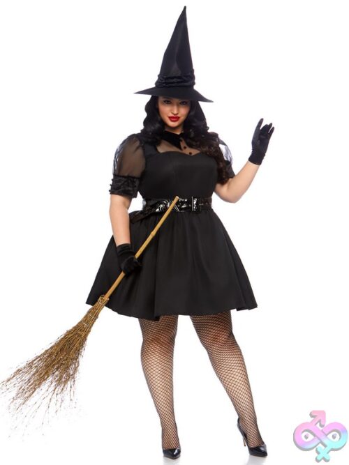 Plus Size 3 Pc Bewitching Witch Costume