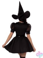 3 Piece Bewitching Witch Costume