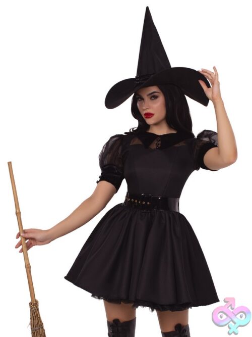 3 Piece Bewitching Witch Costume