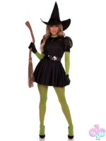 3 Piece Bewitching Witch Costume