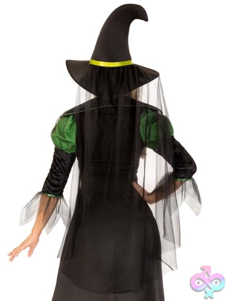 3 Piece Storybook Witch Costume