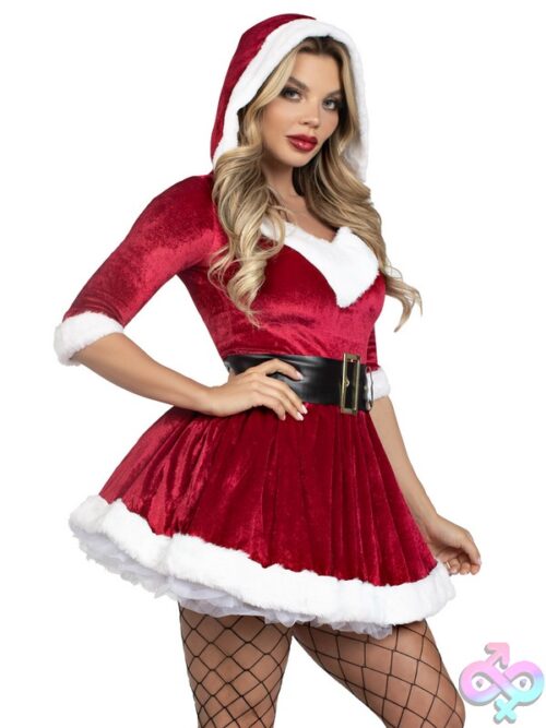 2 Piece Mrs Claus Costume