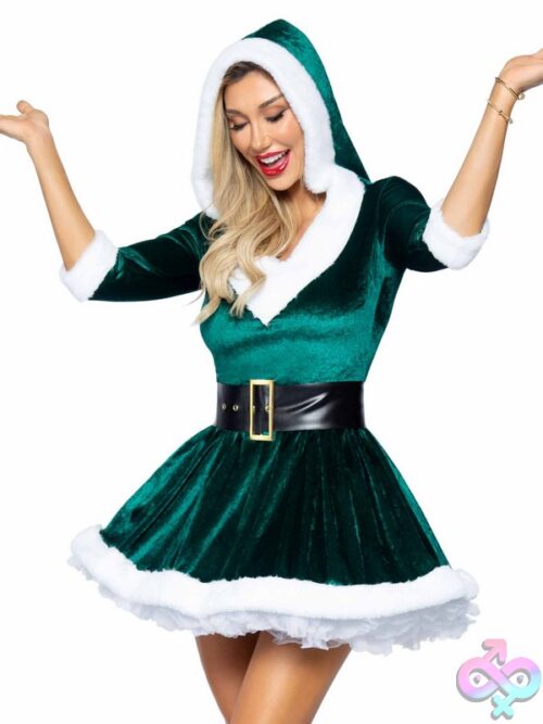 2 Piece Mrs Claus Costume