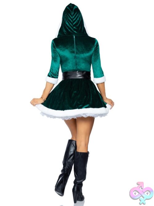 2 Piece Mrs Claus Costume