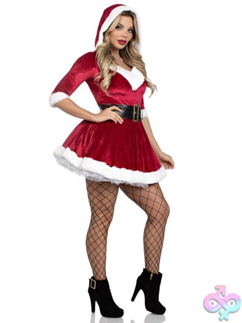 2 Piece Mrs Claus Costume