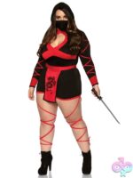 Plus Size 3 Pc Dragon Ninja Costume