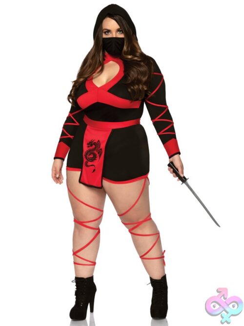 Plus Size 3 Pc Dragon Ninja Costume