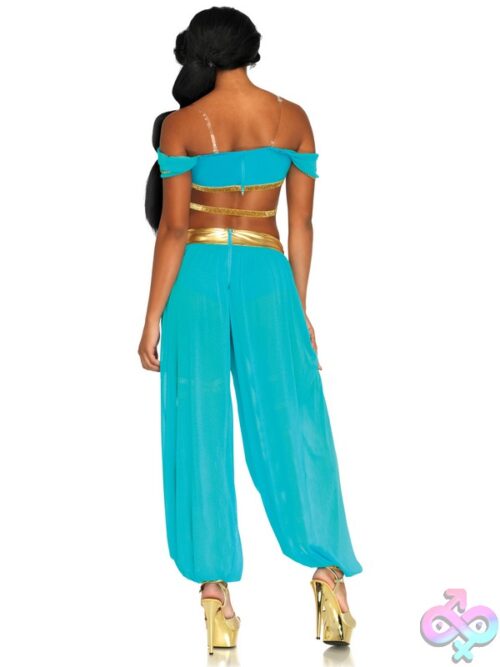 4 Piece Oasis Princess Costume
