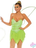 4 Piece Pretty Pixie Costume