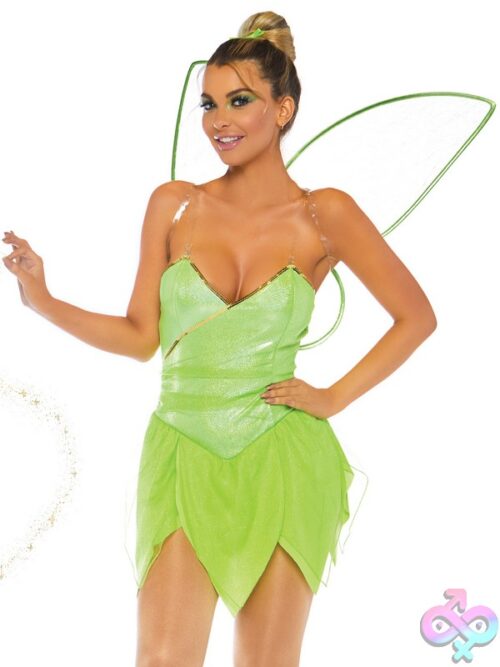 4 Piece Pretty Pixie Costume