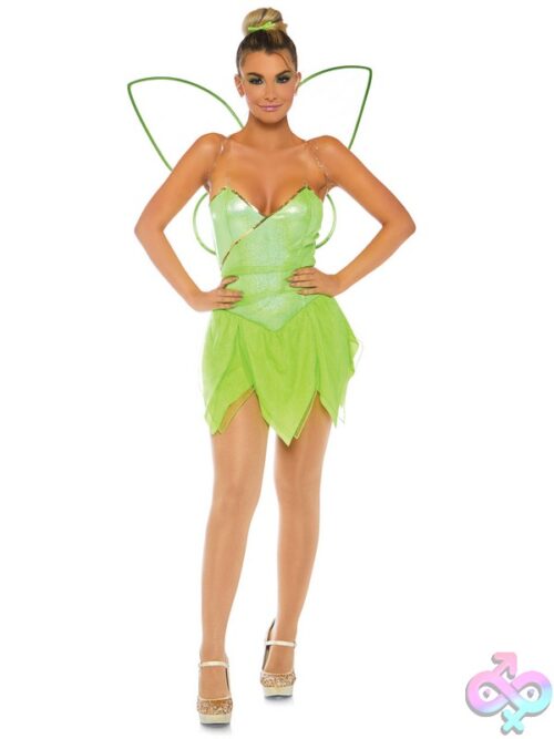 4 Piece Pretty Pixie Costume