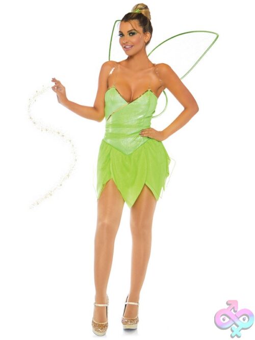 4 Piece Pretty Pixie Costume