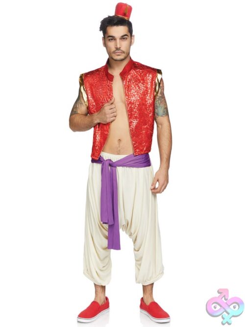 Mens 3 Pc Desert Prince Costume