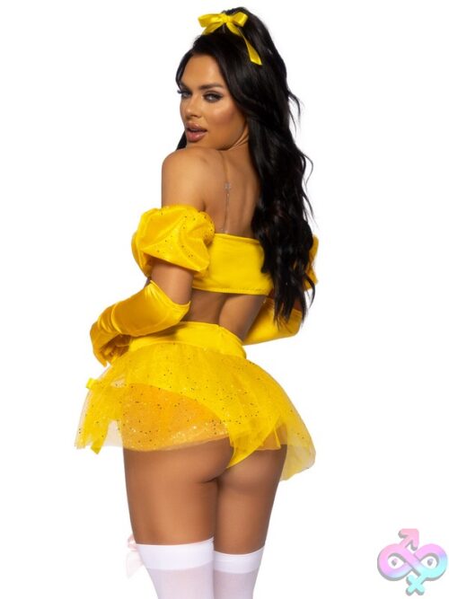 4 Piece Fairytale Beauty Costume