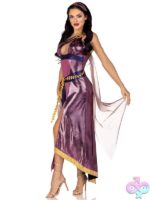 3 Piece Amethyst Goddess Costume