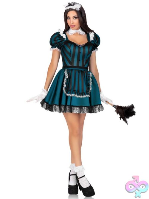 4 Piece Victorian Maid Costume