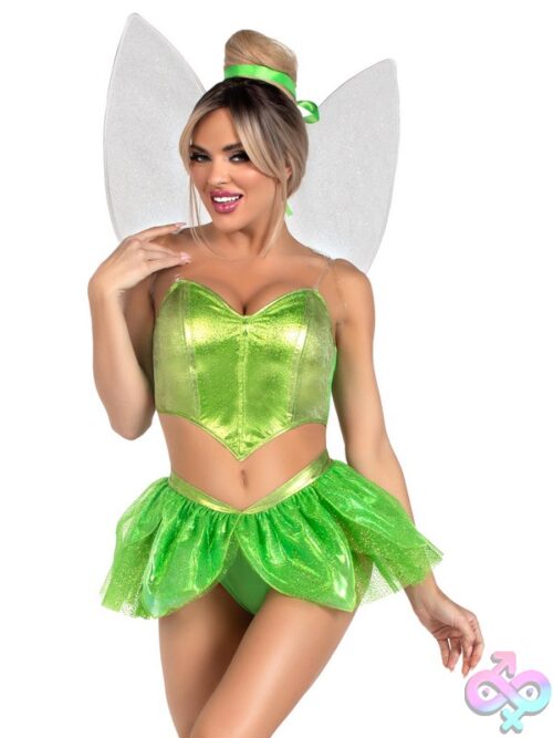 5 Piece Rebel Fairy Costume