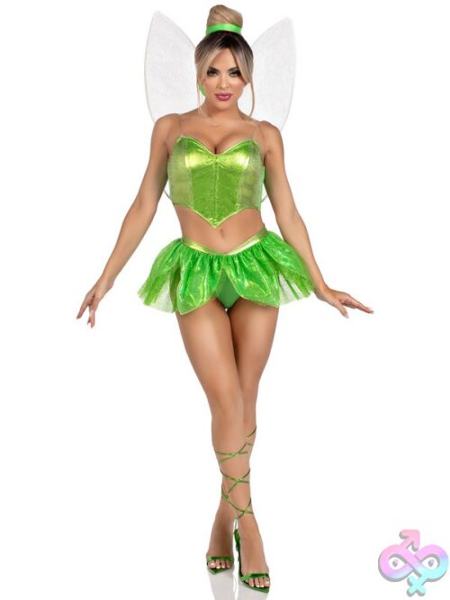 5 Piece Rebel Fairy Costume